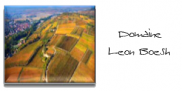 domaine-leon-boesch.png